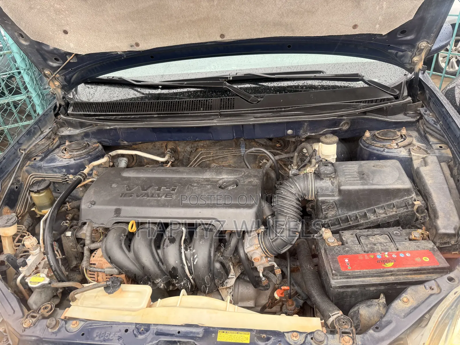Toyota Matrix Hatchback FWD (1.8L 4cyl 5M) 2005 Blue