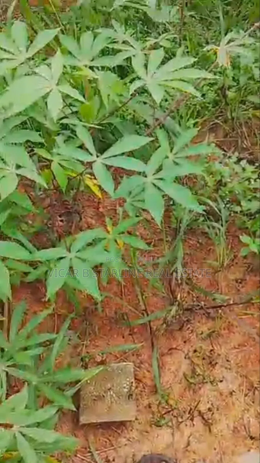 2 Plots of Table Land Is Available for Sale at Ishieke.