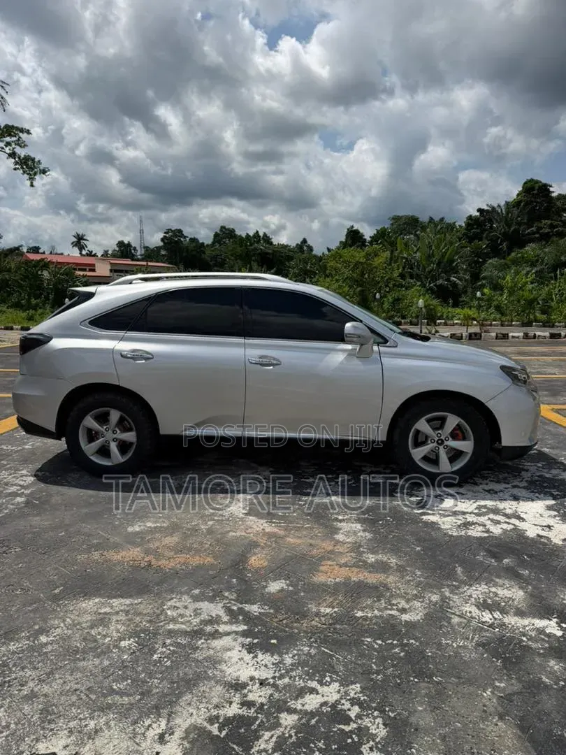 Lexus RX 350 2010 Silver