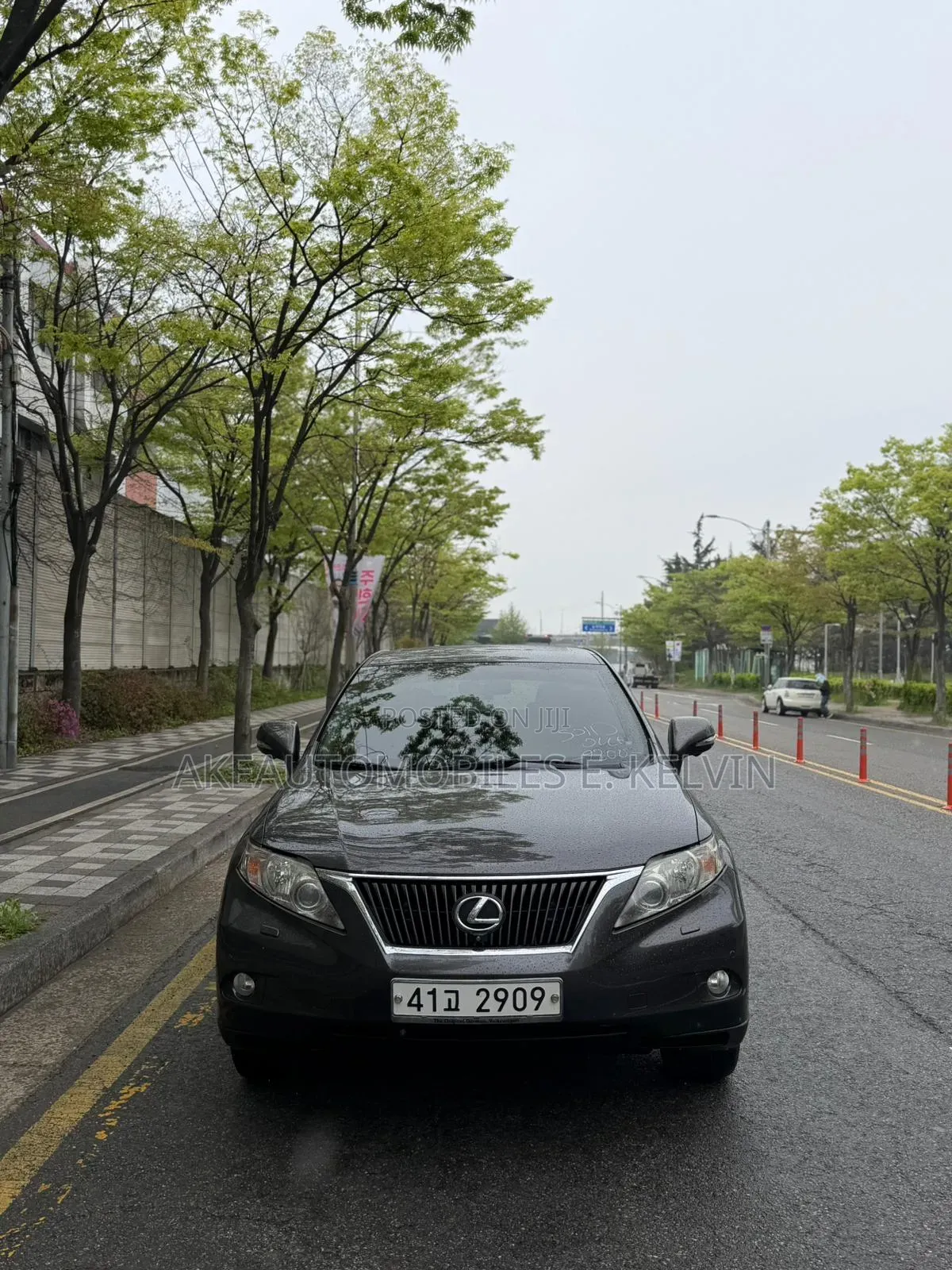 Lexus RX 2011 Gray