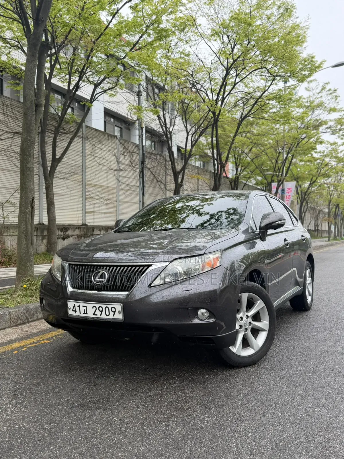Lexus RX 2011 Gray