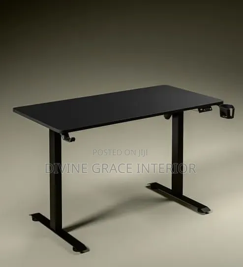 Sit Stand Electric Desk