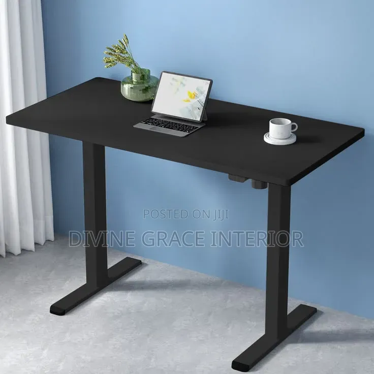 Sit Stand Electric Desk