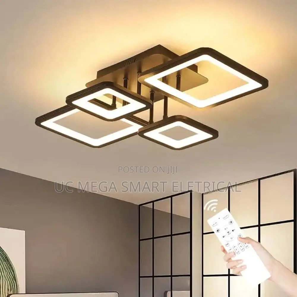 Modern Bedroom Lamp Black LED Ceiling Lamp Home Decor Indoor Lighting