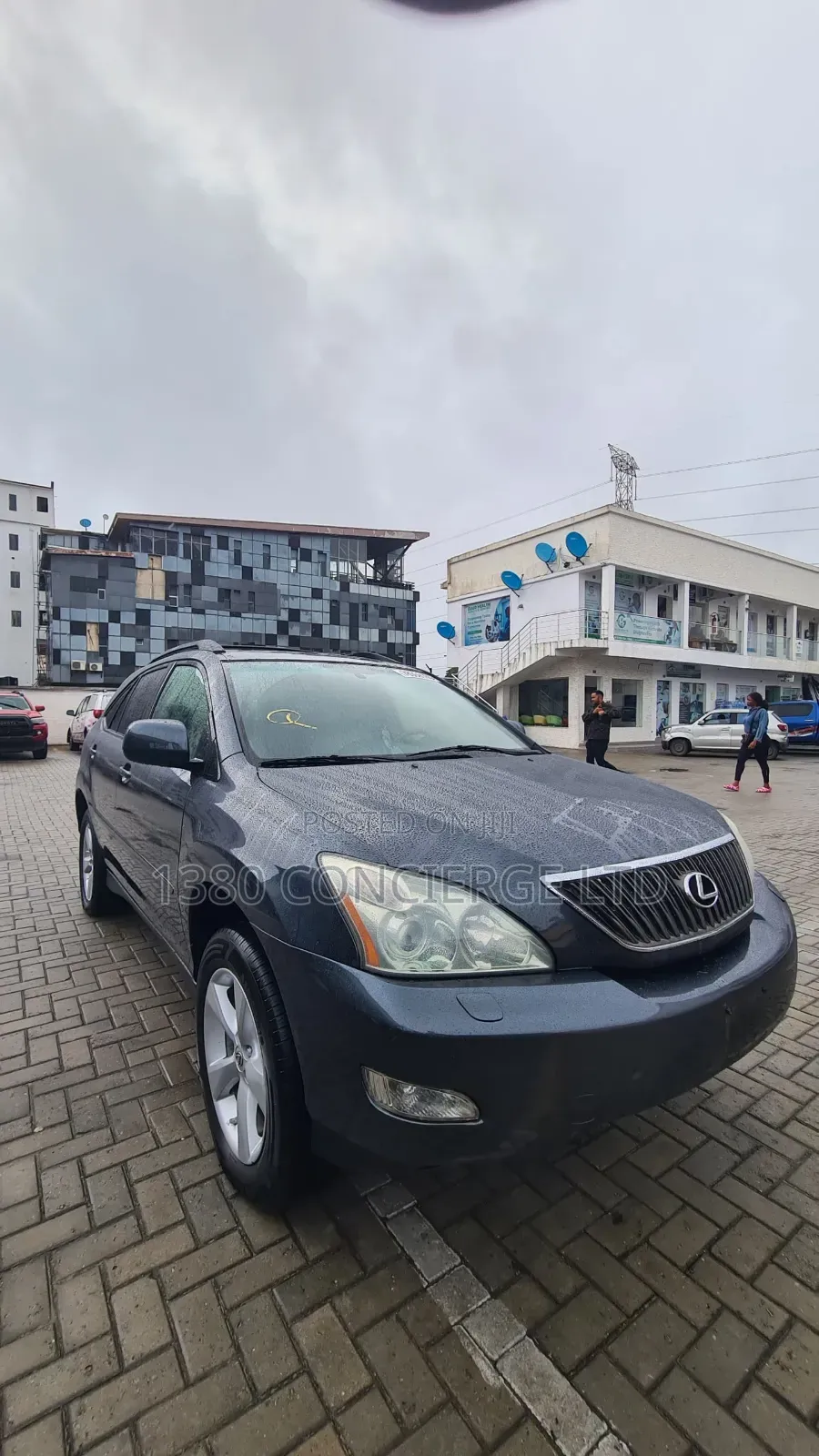 Lexus RX 2005 Gray