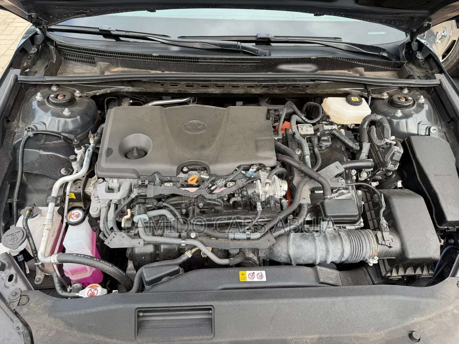Toyota Camry XLE 2025 Black