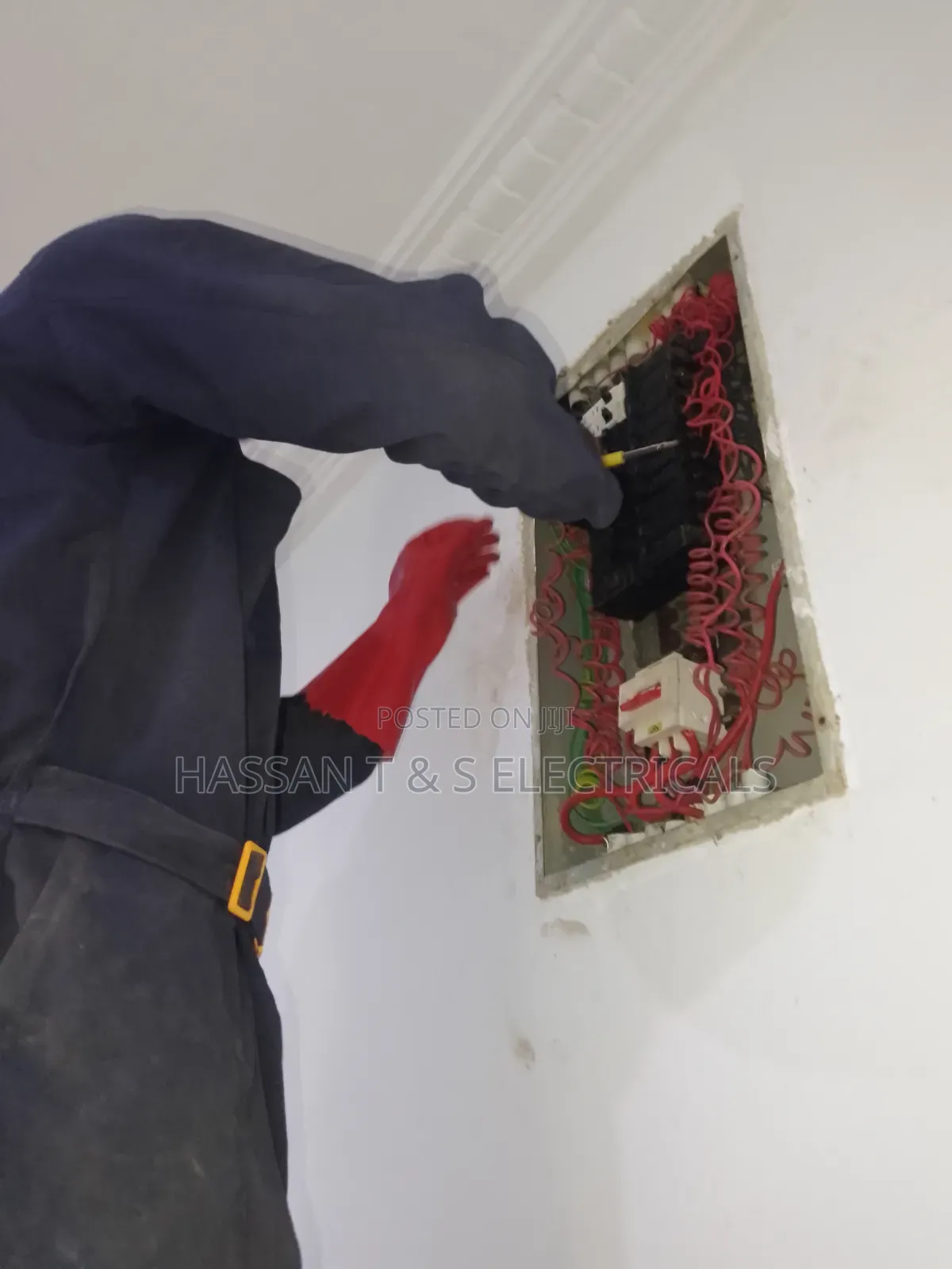 Professional Electrician