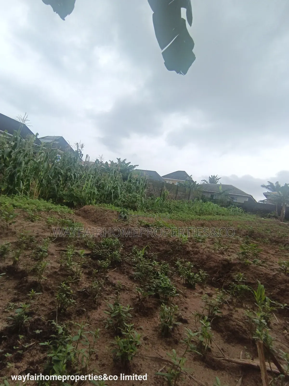 Two Plots Altogether