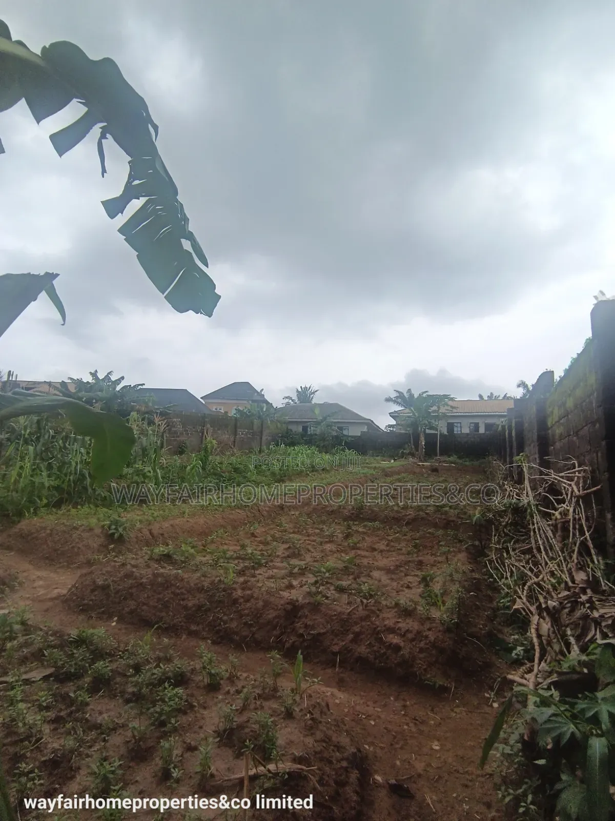 Two Plots Altogether