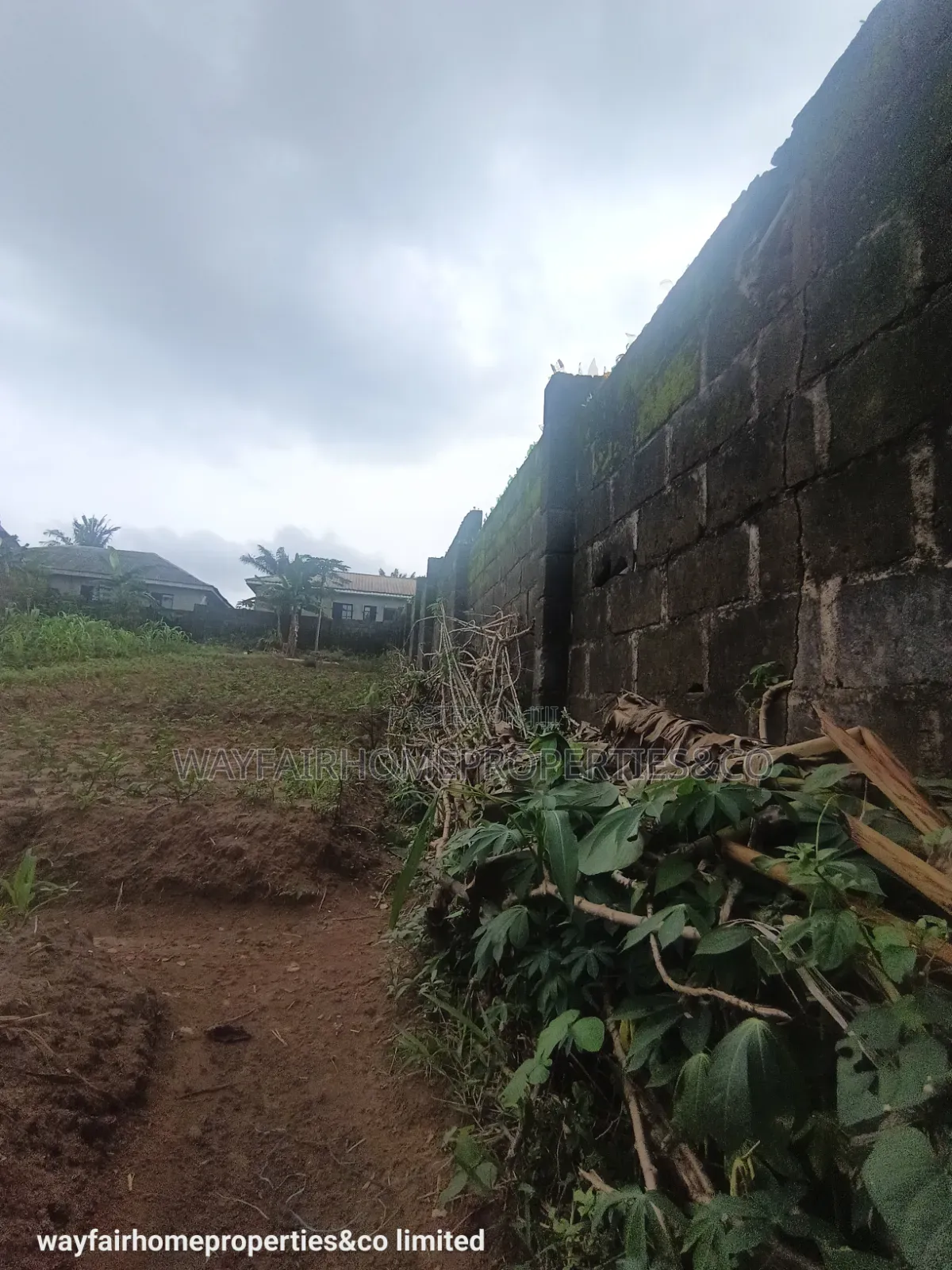 Two Plots Altogether