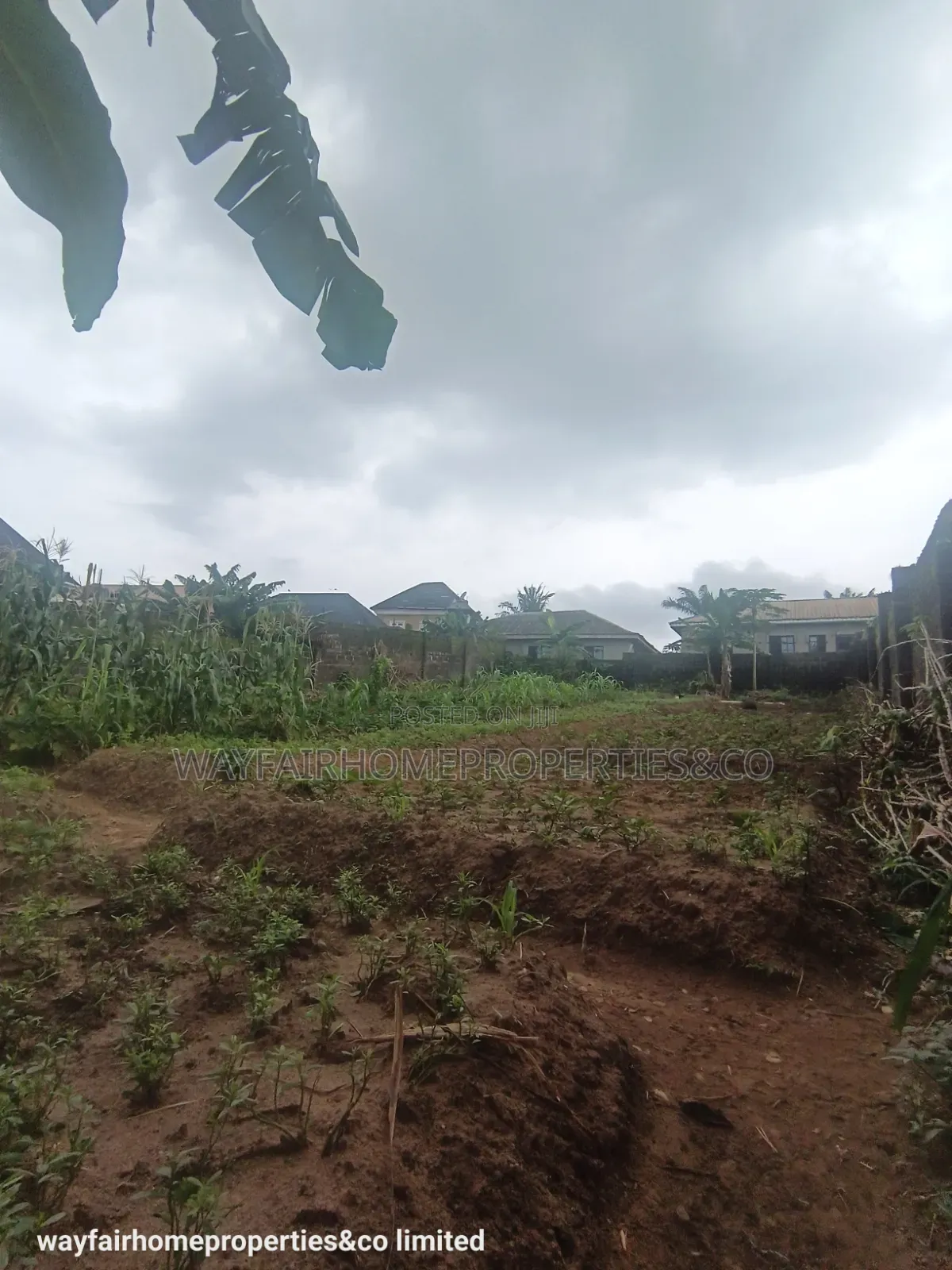 Two Plots Altogether