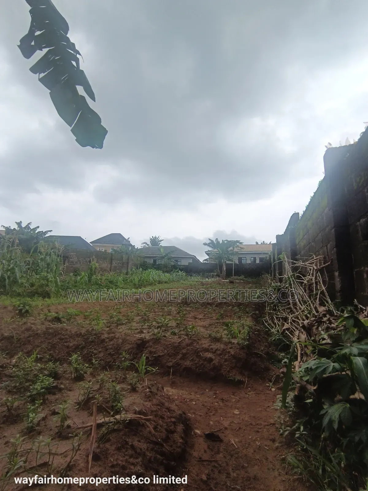 Two Plots Altogether