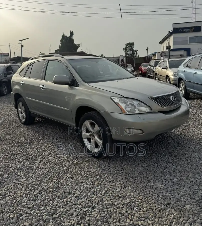 Lexus RX 330 2005 Gray