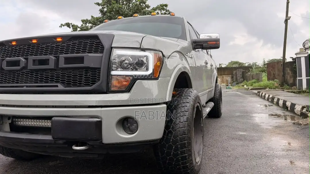 Ford F-150 FX4 2010