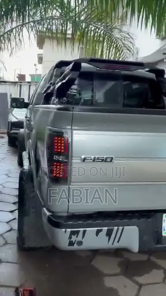 Ford F-150 FX4 2010