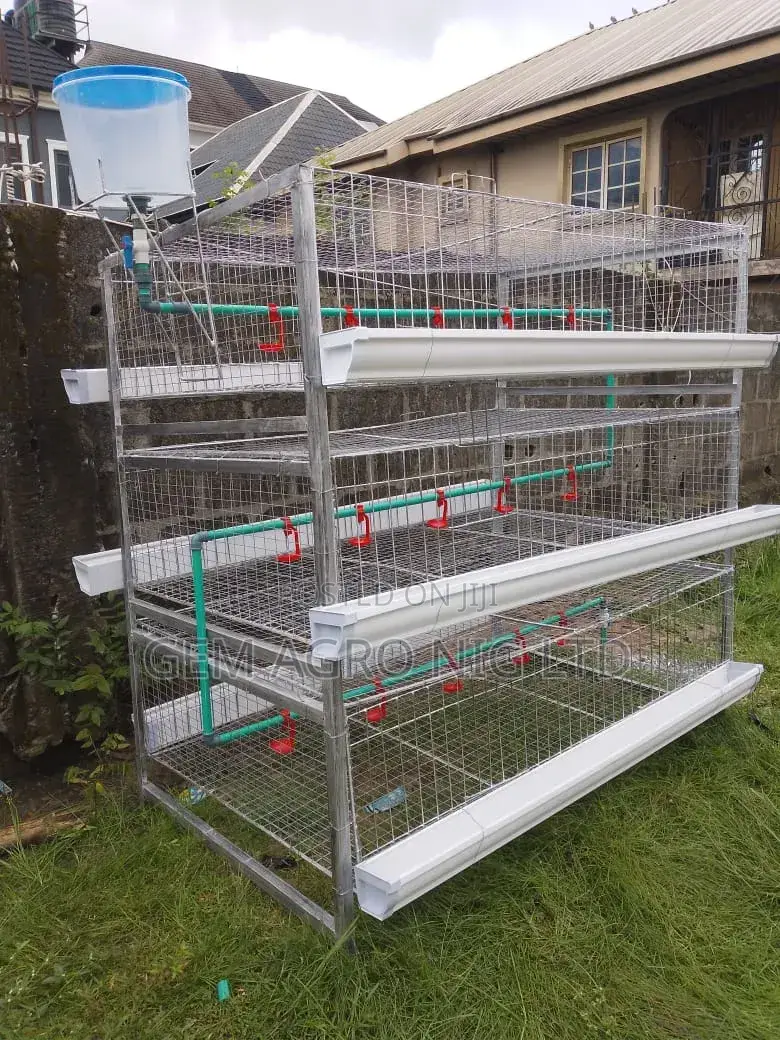 'H' Type Galvanized Broiler Battery Cage