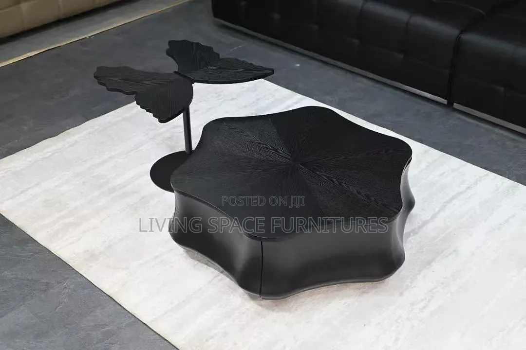 Quality Coffee Table 2in1 Set