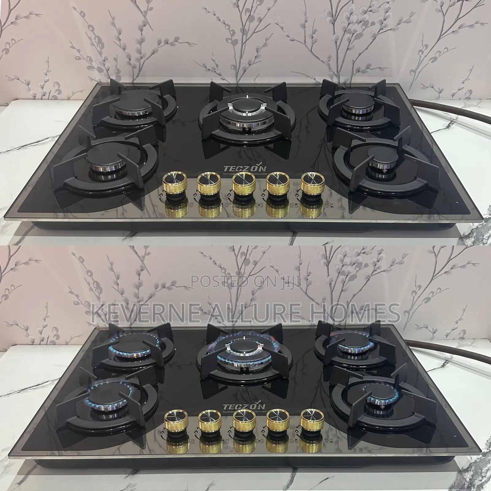 Teczon 5 Burners Inbuilt Gas Cooker