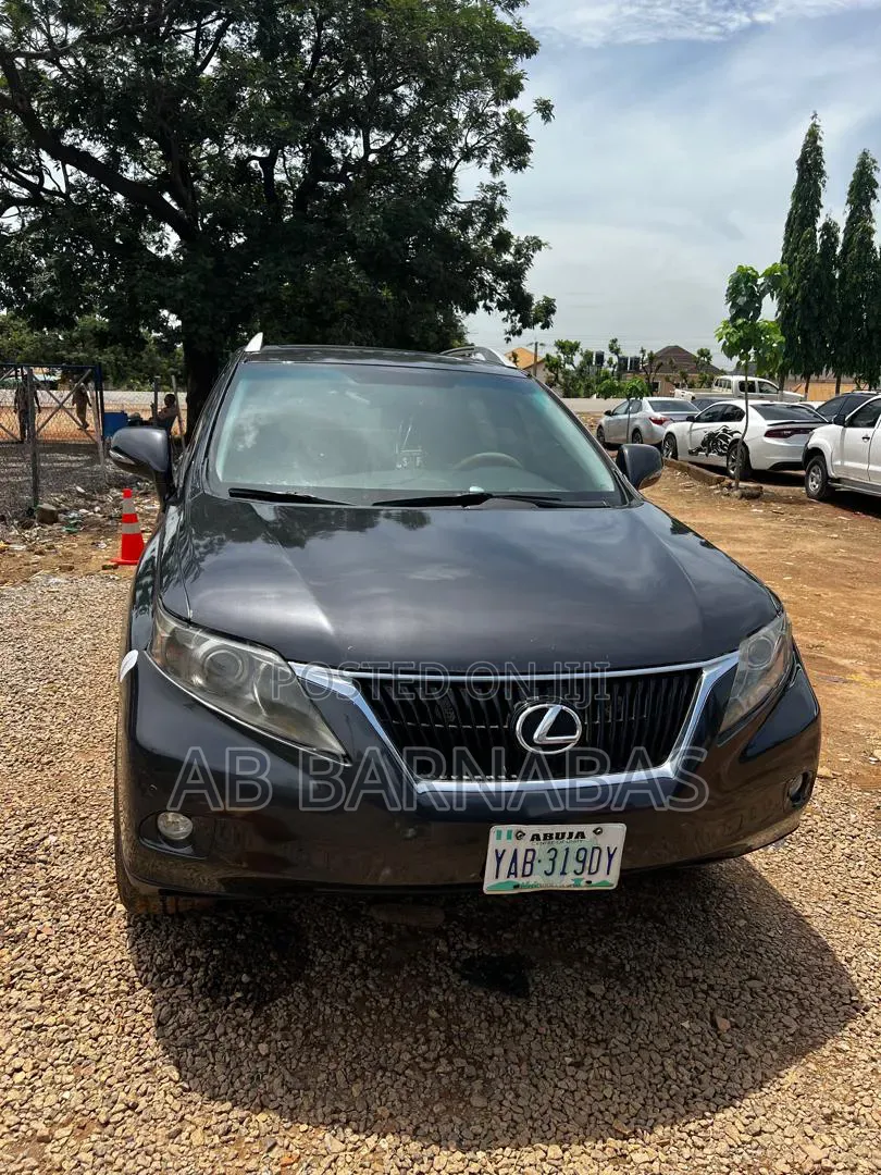 Lexus RX 2010 Gray