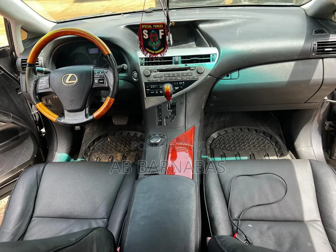 Lexus RX 2010 Gray