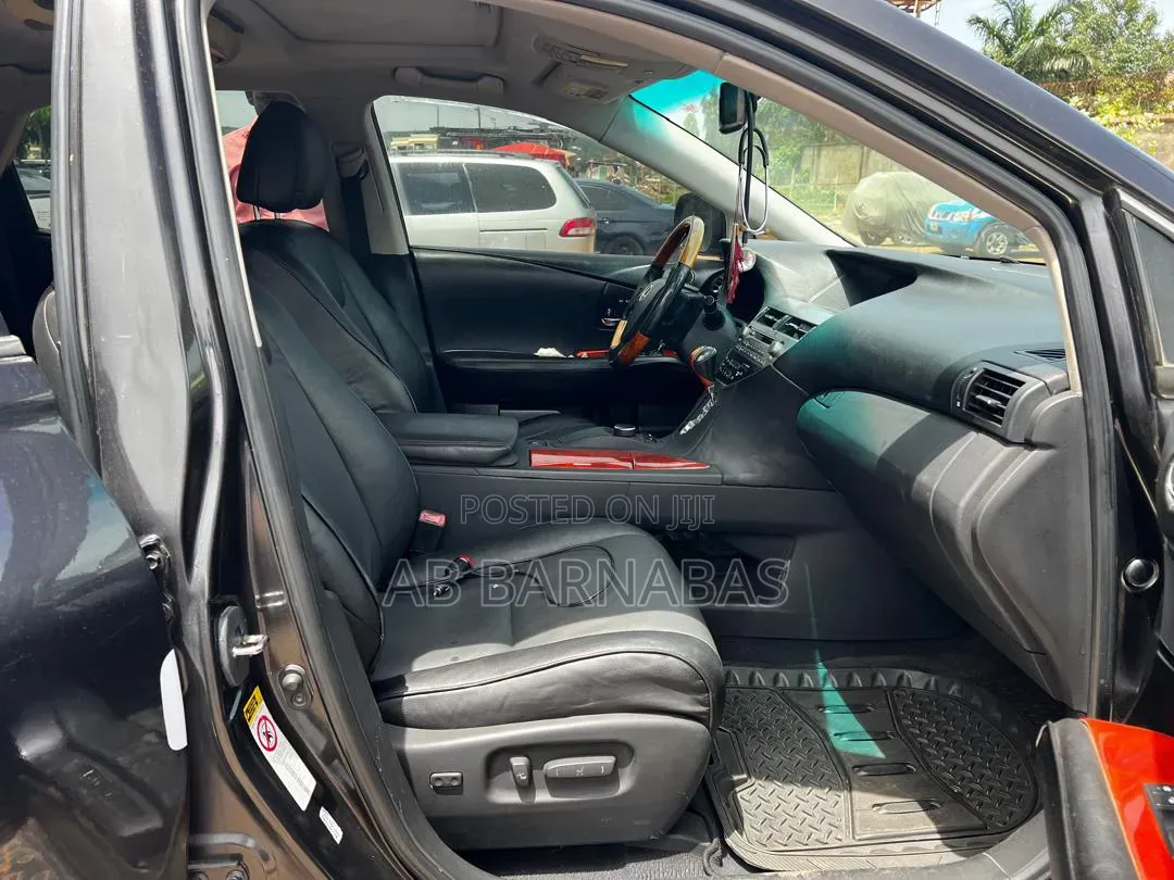 Lexus RX 2010 Gray