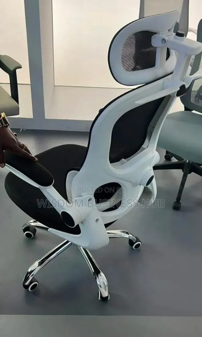 Ergonomic Chair for Use in Offices