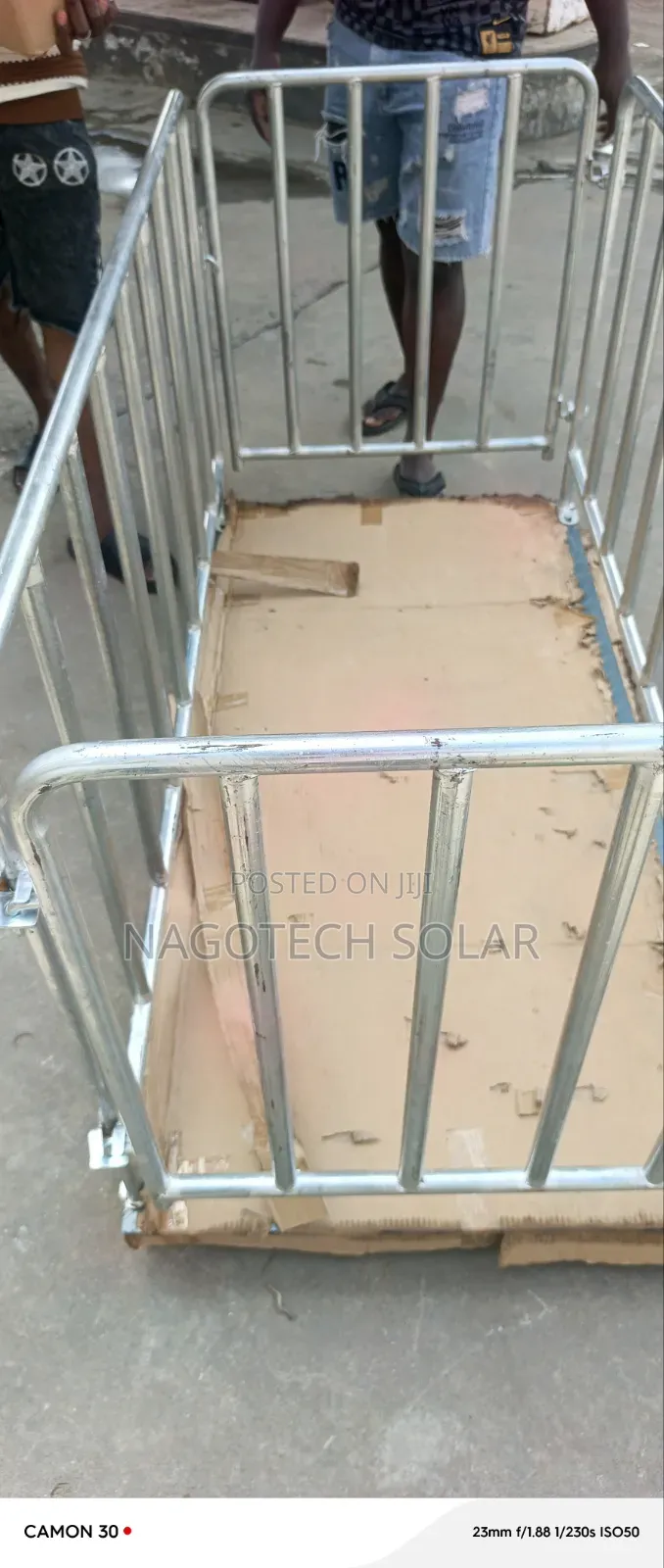 6 Ton Livestock Digital Scale