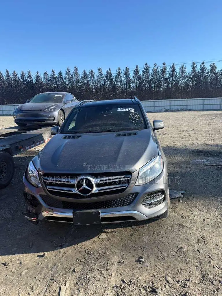 Mercedes-Benz GLE-Class GLE 350d 4MATIC 2018 Gray