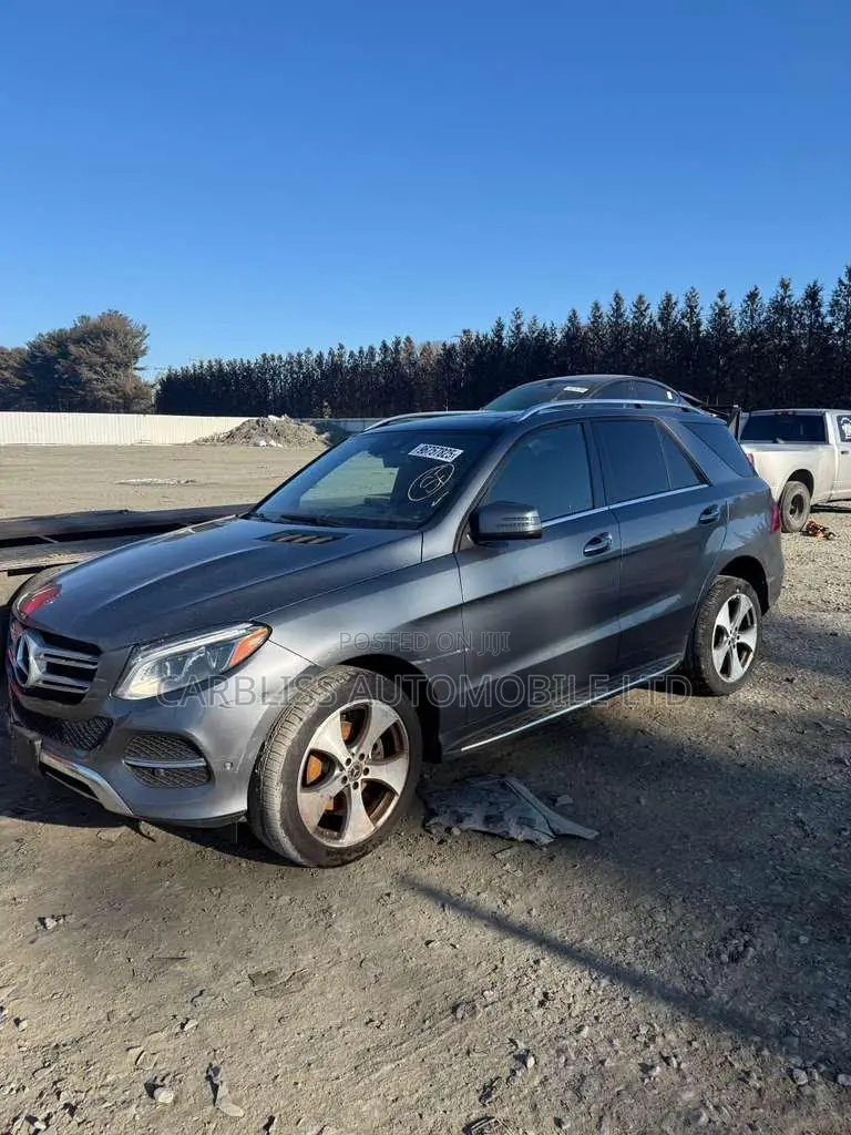 Mercedes-Benz GLE-Class GLE 350d 4MATIC 2018 Gray