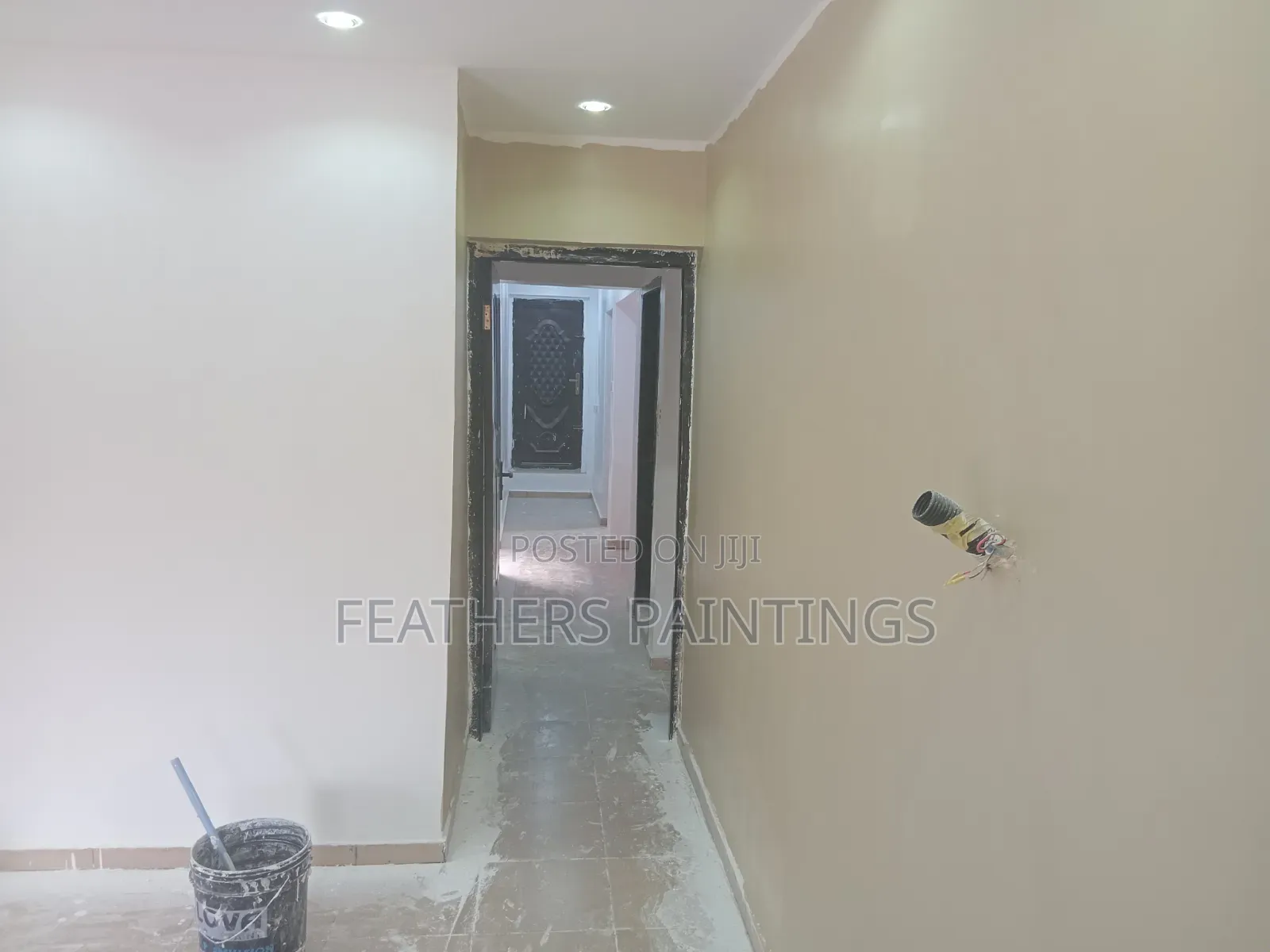 Wall Screeding and Painting Services