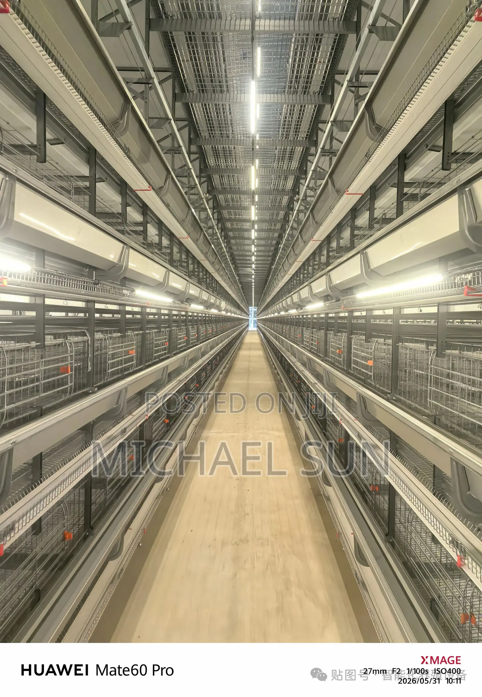 Poultry Farm Automatic Poultry Farming