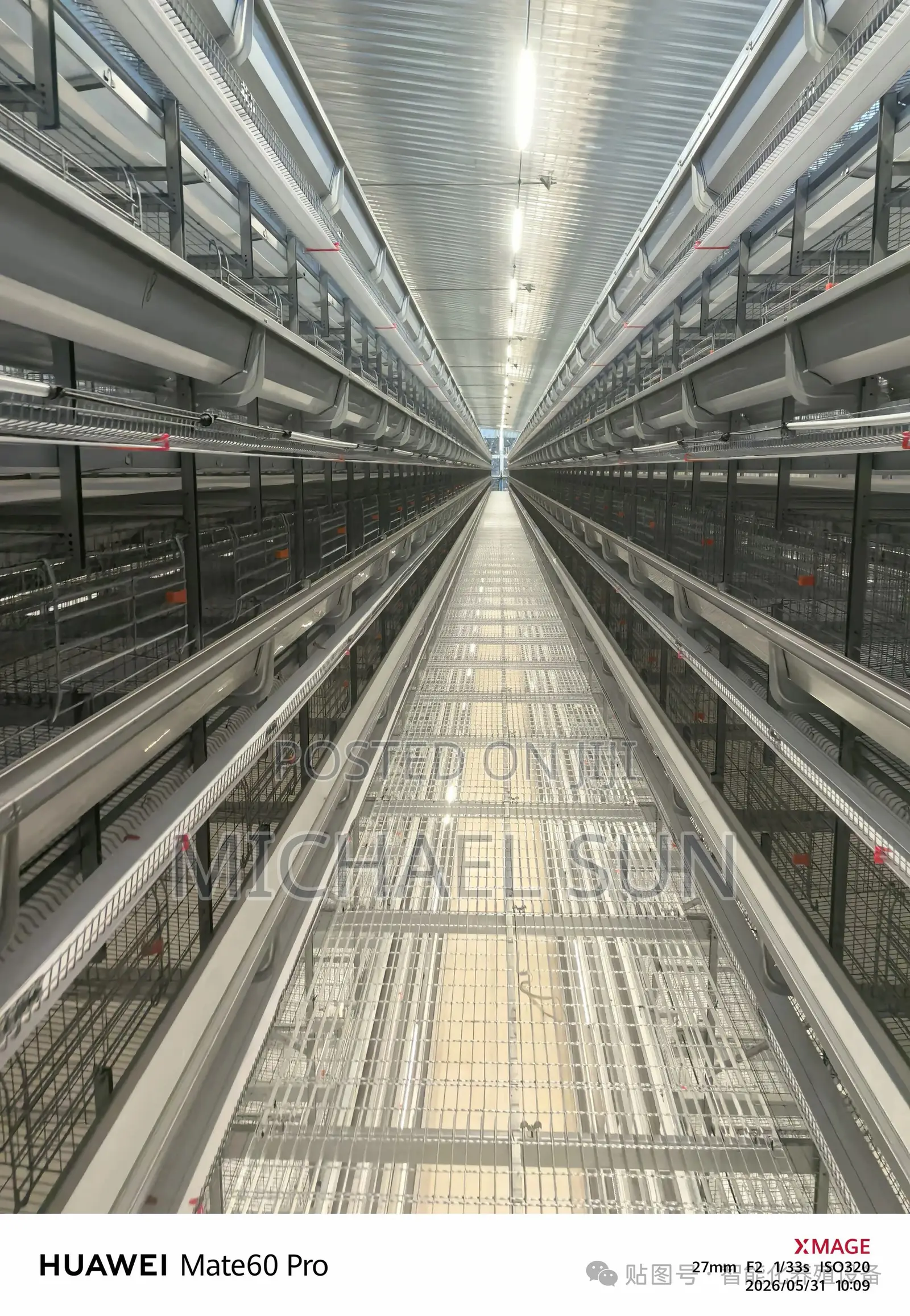 Poultry Farm Automatic Poultry Farming