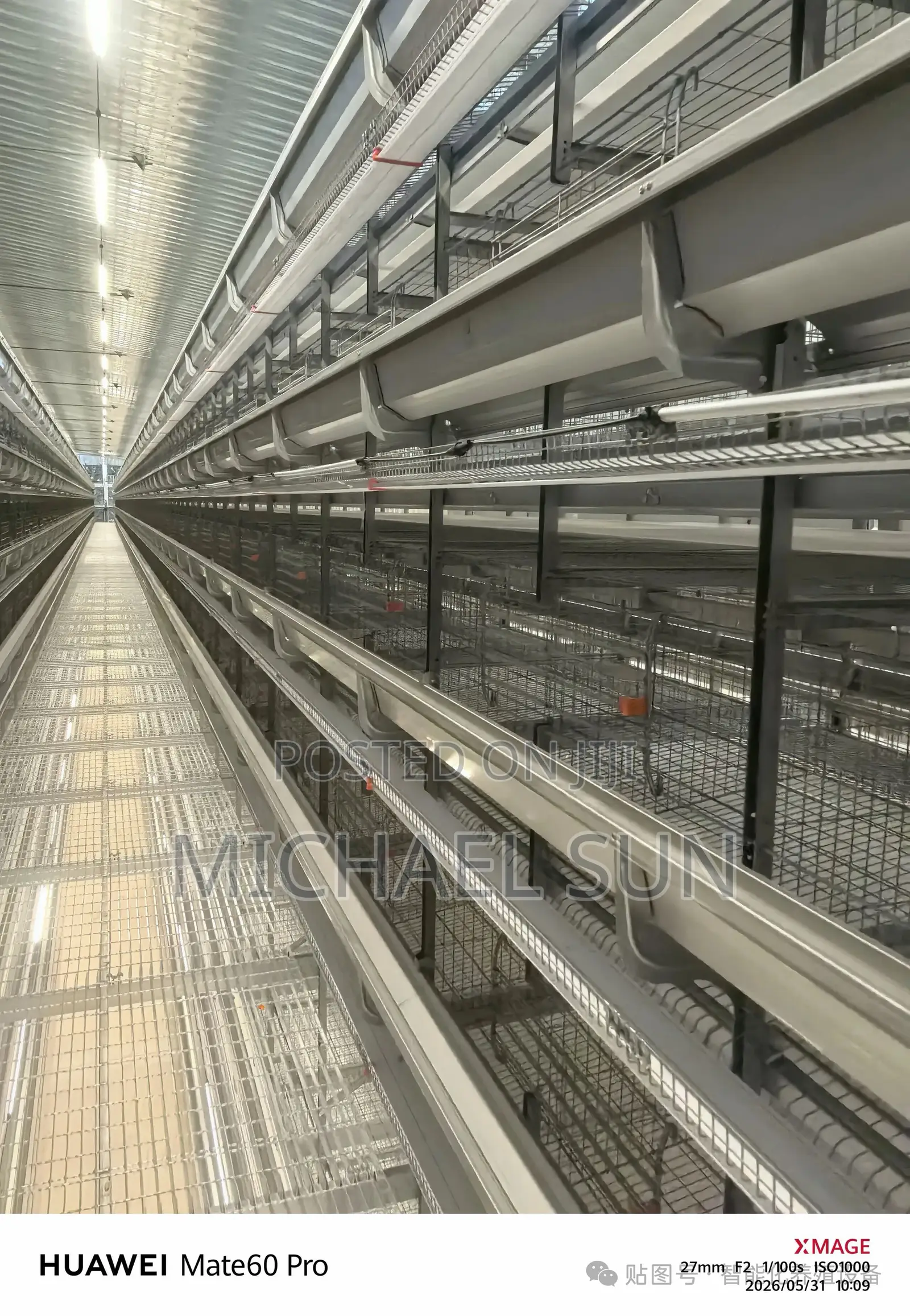 Poultry Farm Automatic Poultry Farming