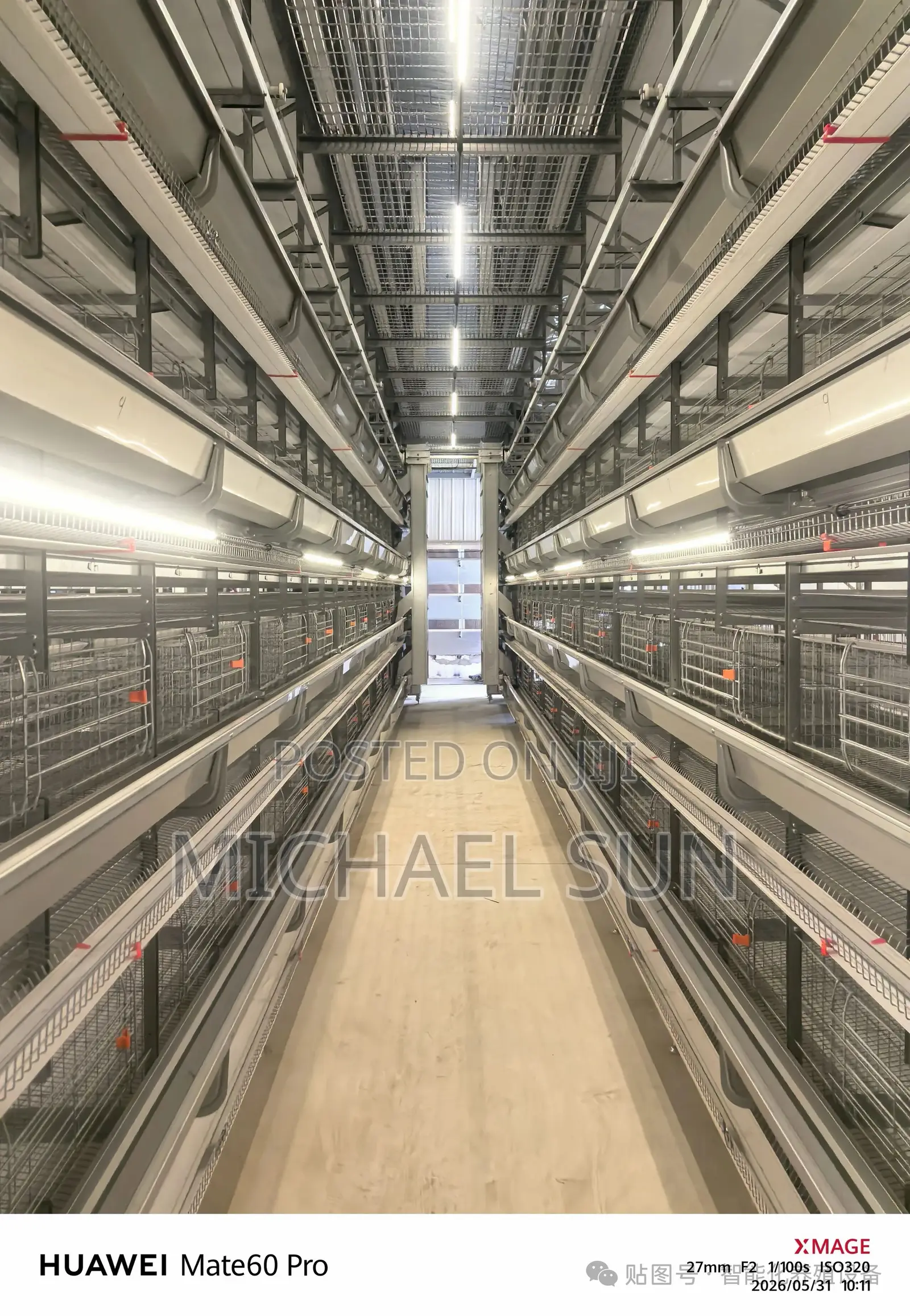 Poultry Farm Automatic Poultry Farming
