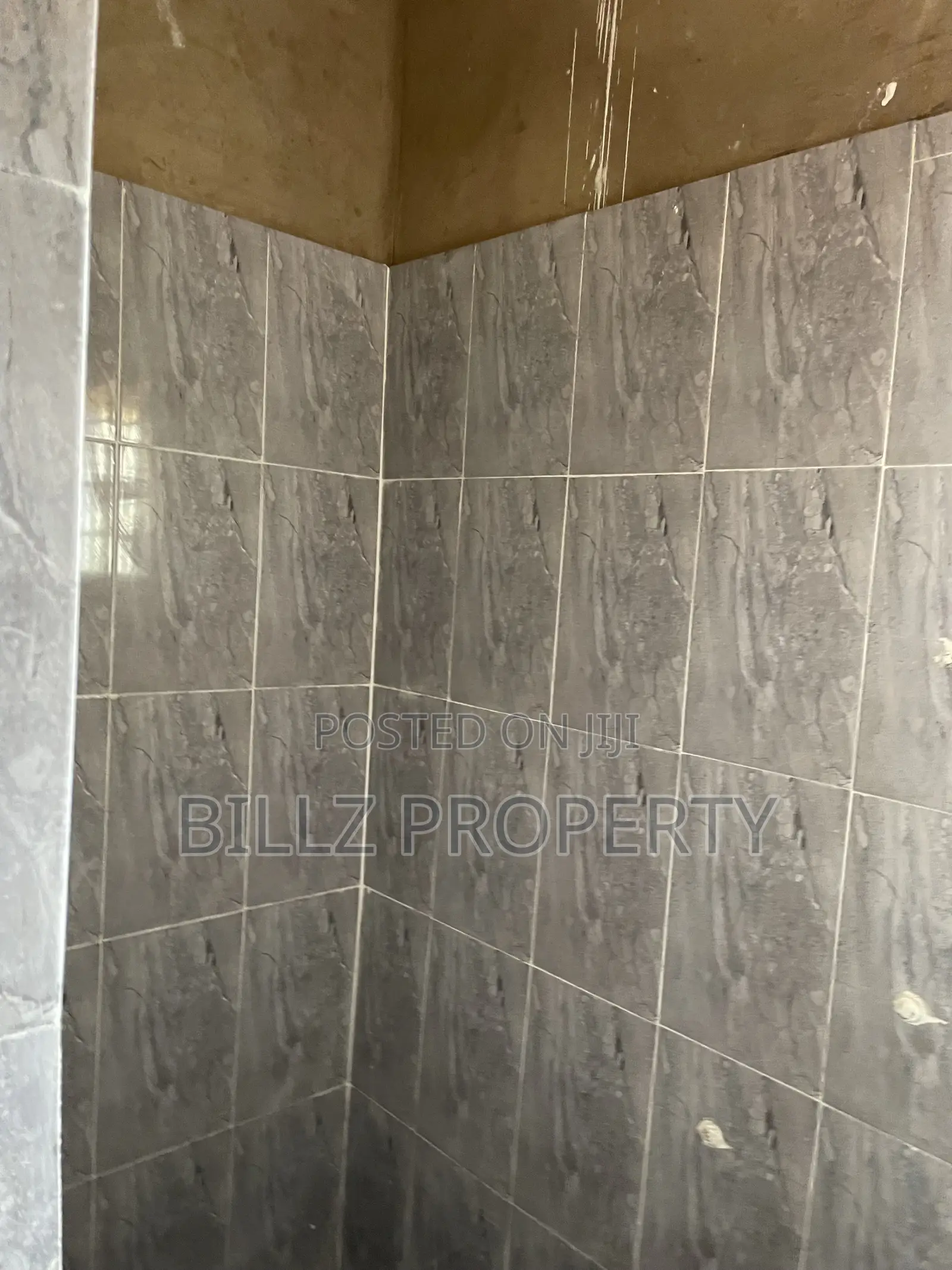 Mini Flat in Meiran, Abule Egba for rent