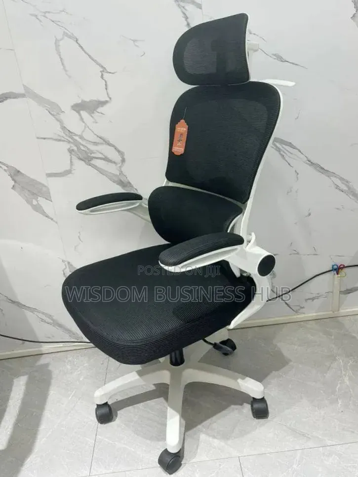 Ergonomic Chair for Executive Offices