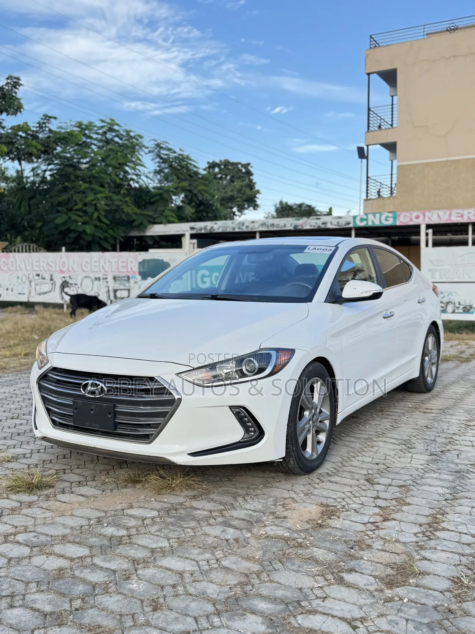 Hyundai Elantra Limited Sedan FWD (1.8L 4cyl 6A) 2016 White