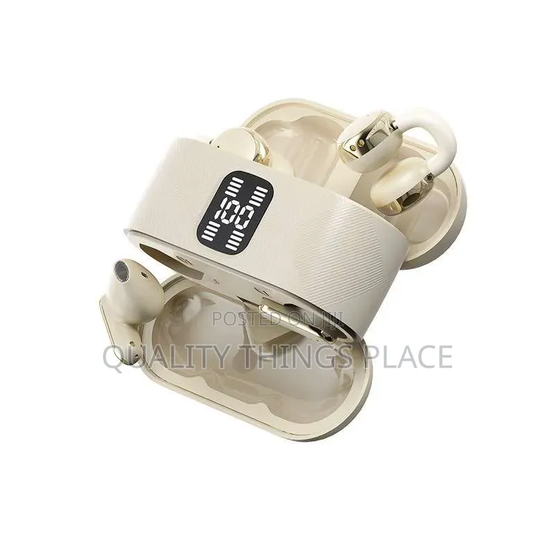 2 in 1 Bluetooth Earpod