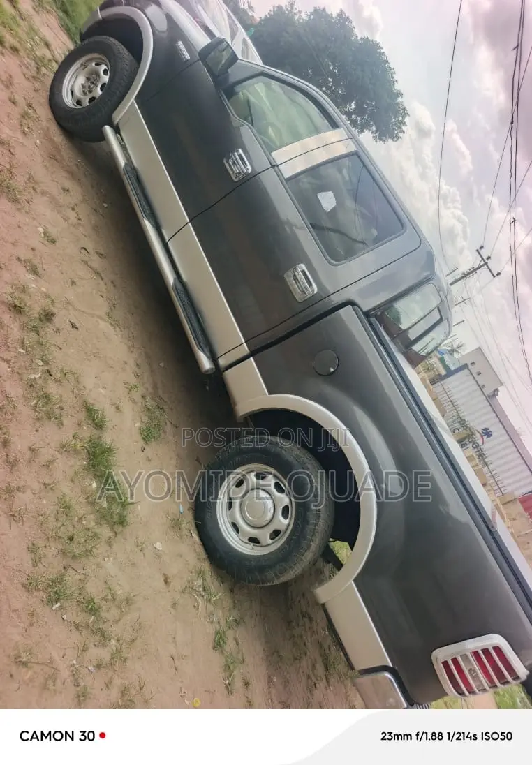 Ford F-150 2006 Gray
