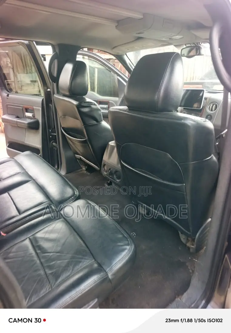 Ford F-150 2006 Gray
