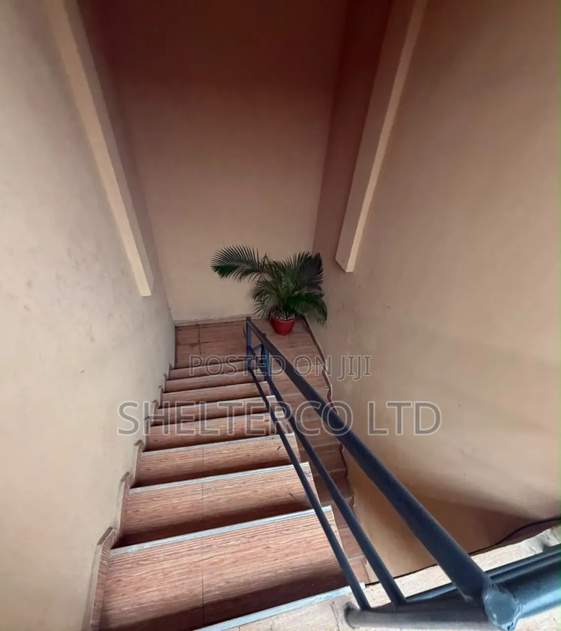 1bdrm Apartment in Akoka for rent