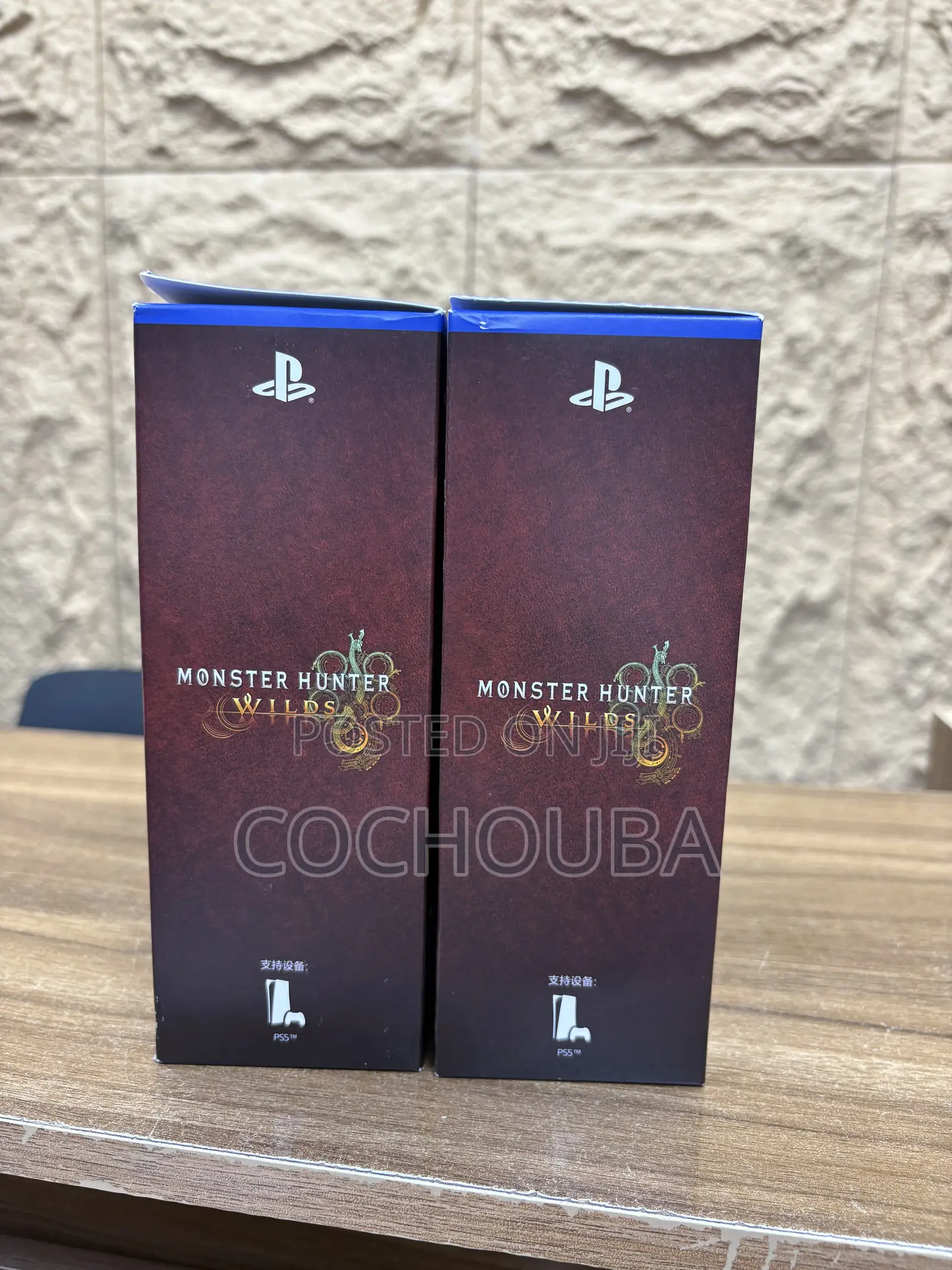 PlayStation 5 Monster Hunter