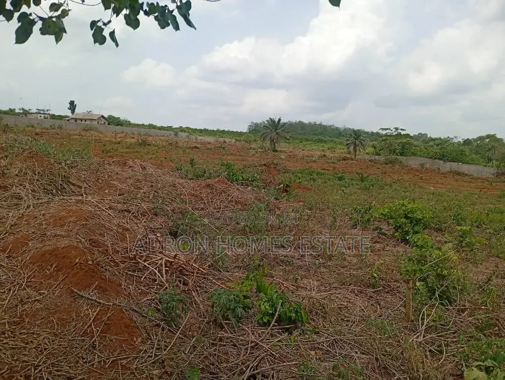 Land at Lafia