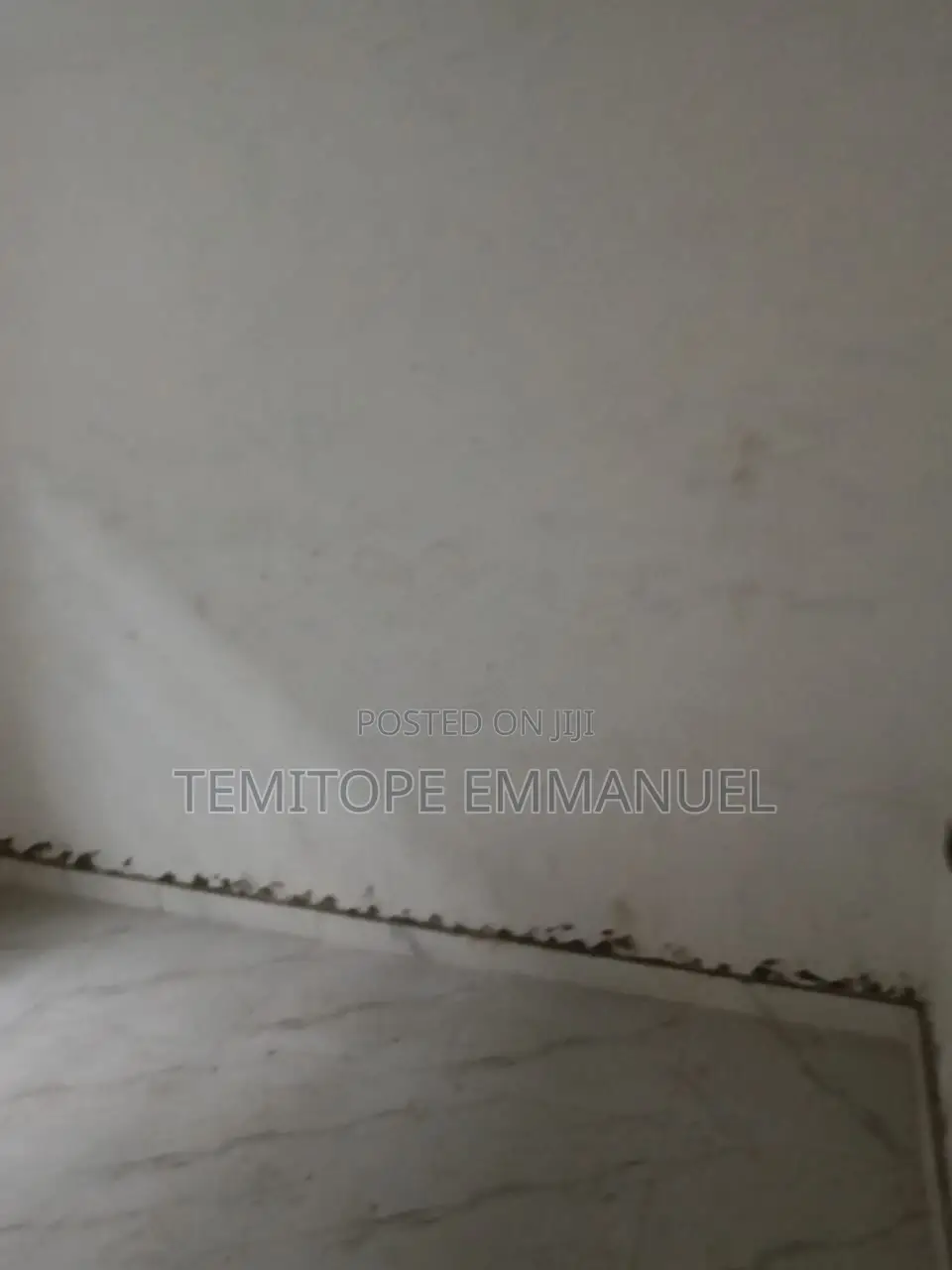 Furnished 1bdrm Apartment in Cement for rent