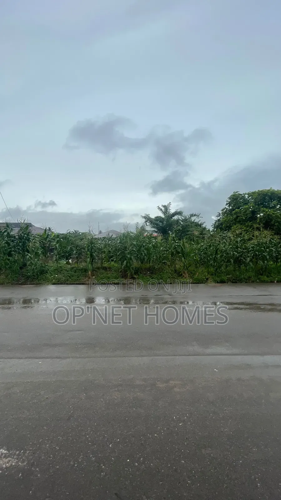 2 Plots of Land Facing a Tarred Road Is Available