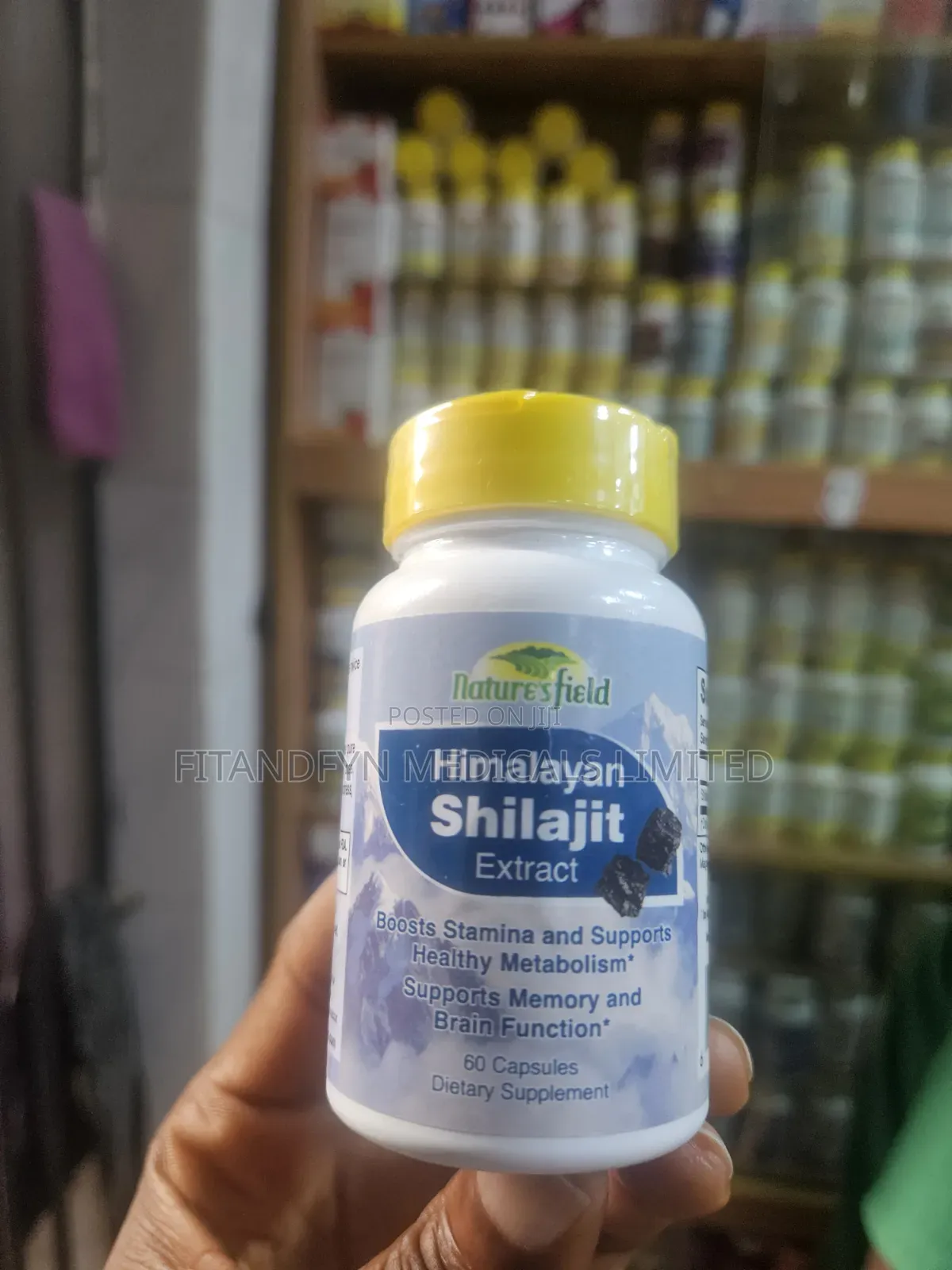 Shilajit Nature's Field
