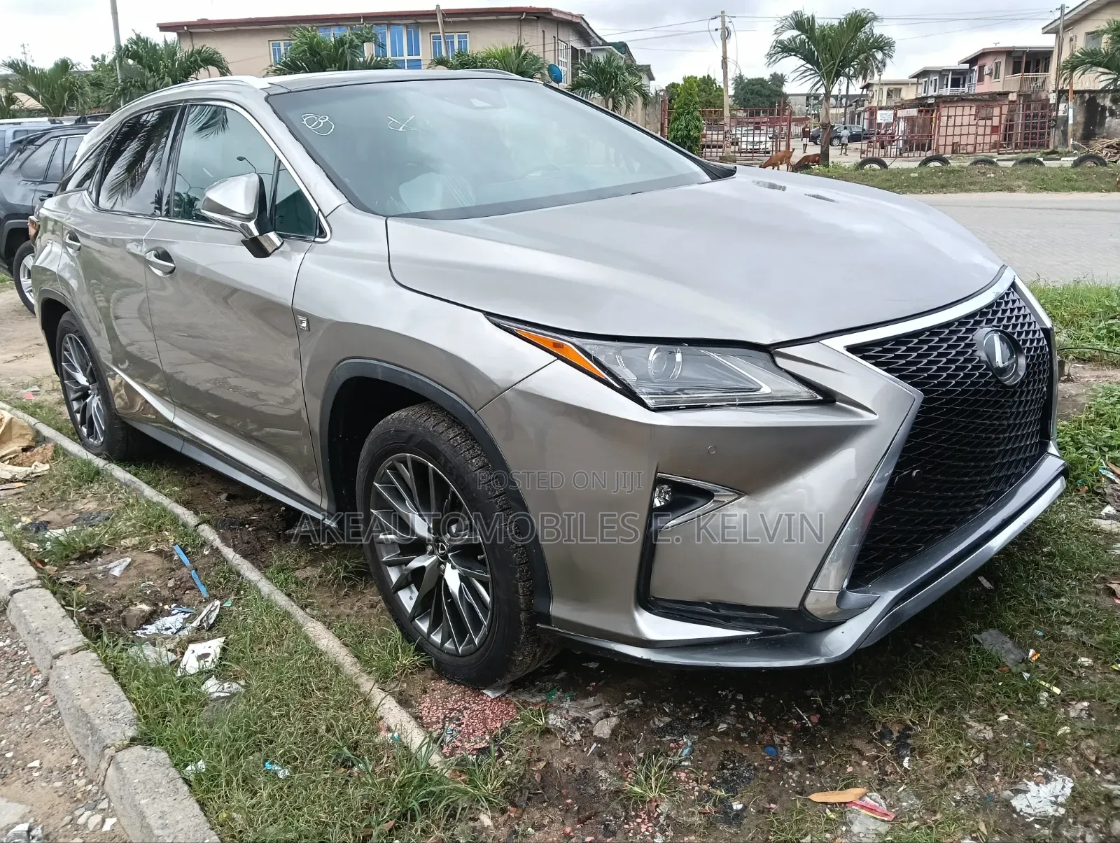 Lexus RX 2019 Gray