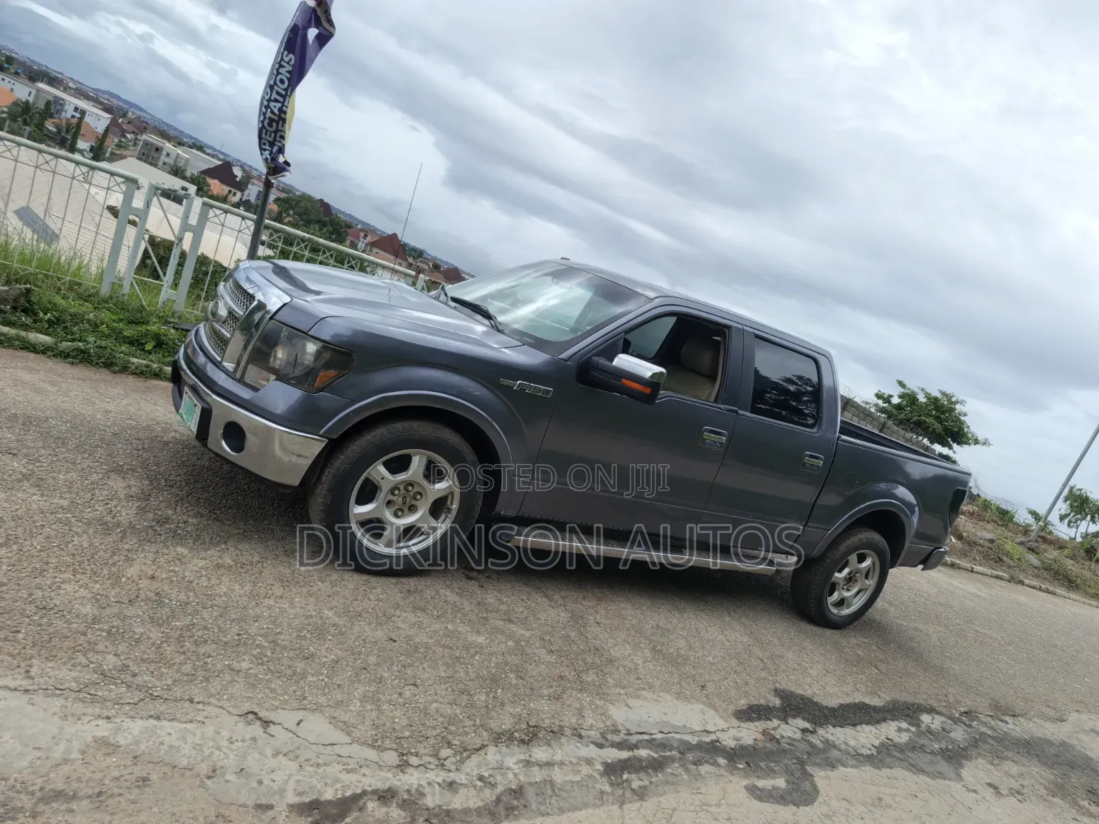 Ford F-150 2010 Gray