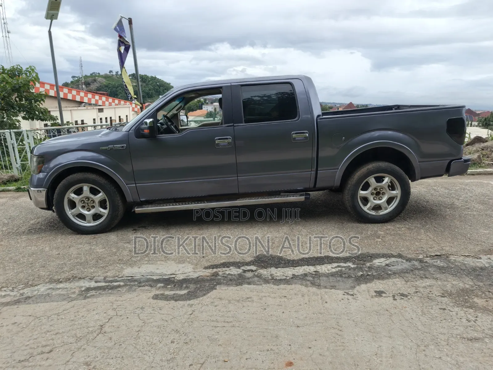 Ford F-150 2010 Gray
