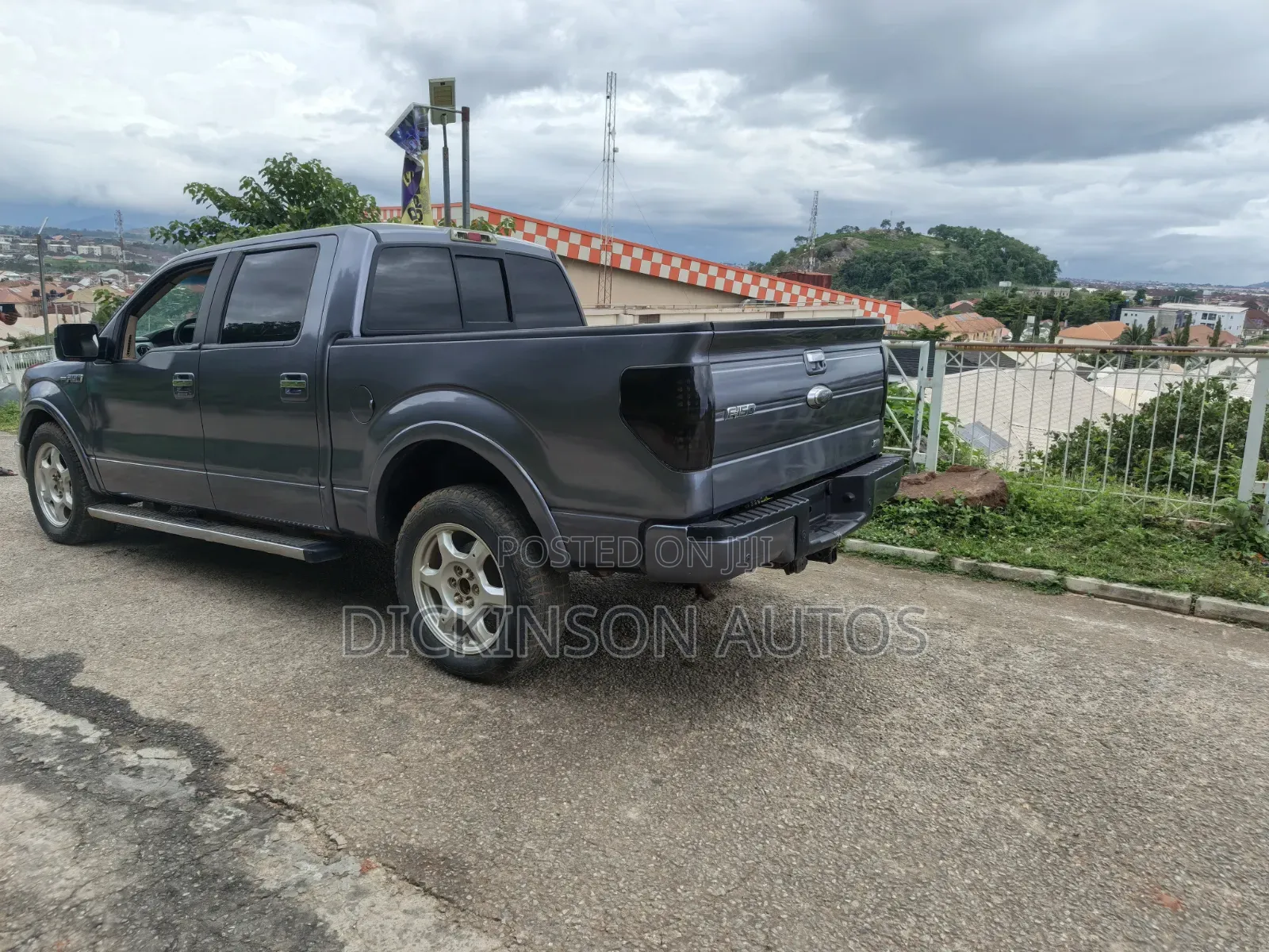 Ford F-150 2010 Gray